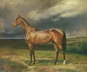 ‘Abdul Medschid’, the chestnut Arab horse, 1855